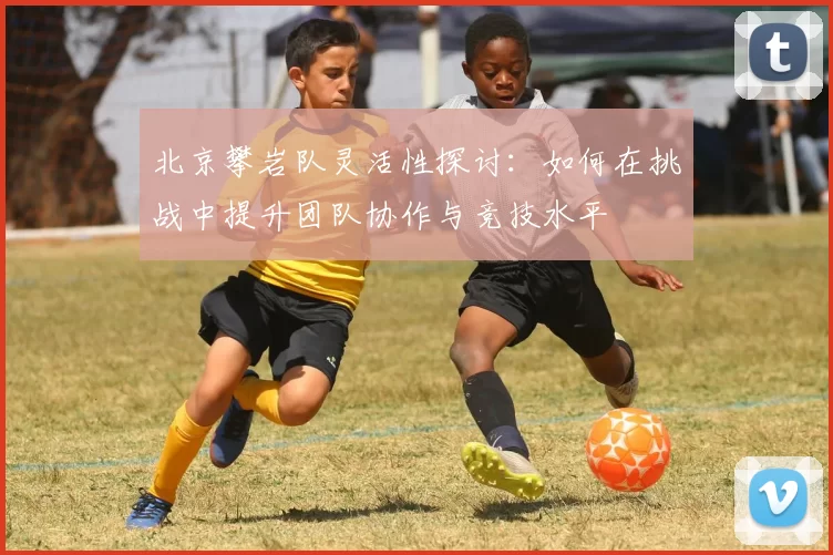 北京攀岩队灵活性探讨:如何在挑战中提升团队协作与竞技水平