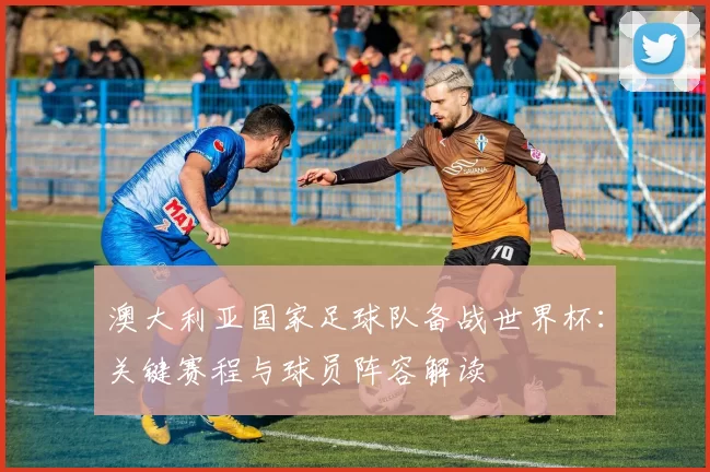 澳大利亚国家足球队备战世界杯:关键赛程与球员阵容解读
