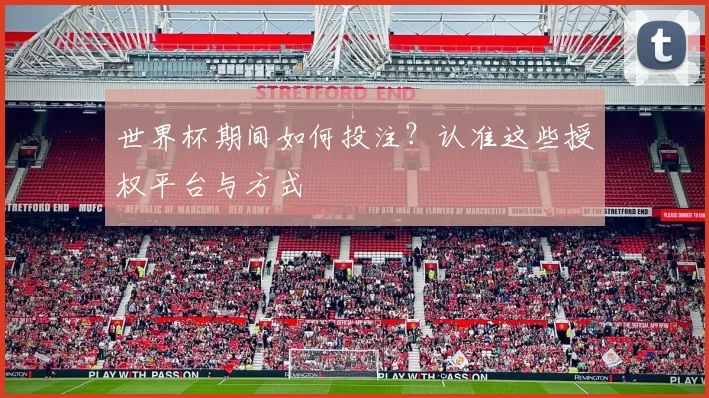 世界杯期间如何投注？认准这些授权平台与方式