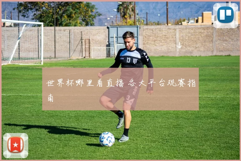 世界杯哪里看直播 各大平台观赛指南