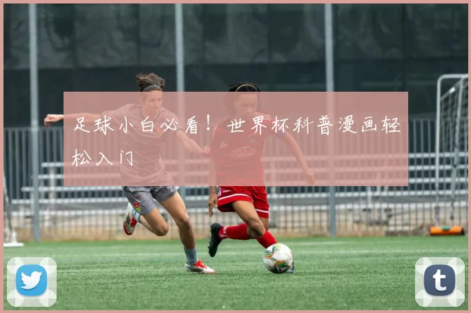 足球小白必看！世界杯科普漫画轻松入门