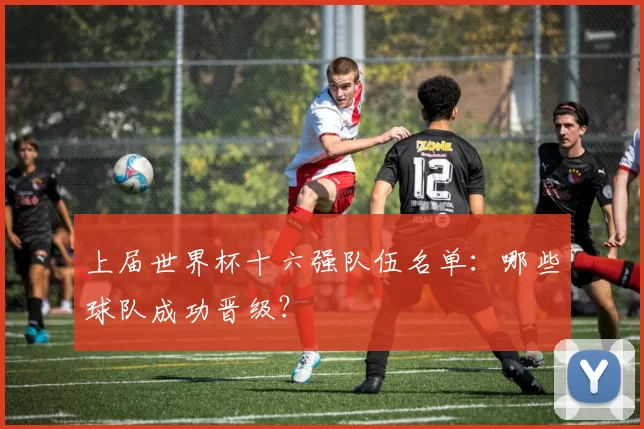 上届世界杯十六强队伍名单：哪些球队成功晋级？