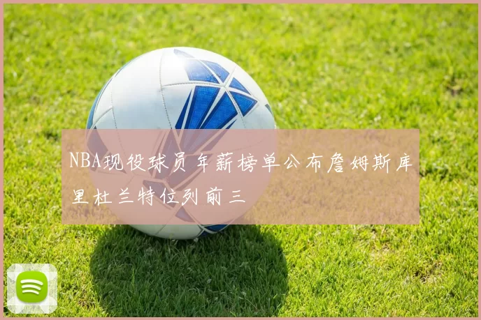 NBA现役球员年薪榜单公布詹姆斯库里杜兰特位列前三