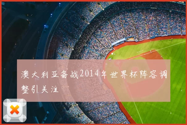 澳大利亚备战2014年世界杯阵容调整引关注
