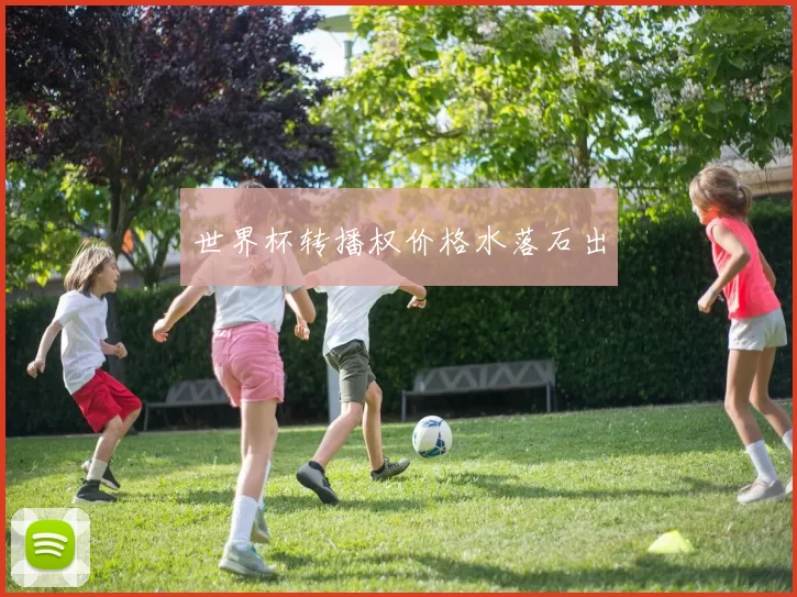 世界杯转播权价格水落石出