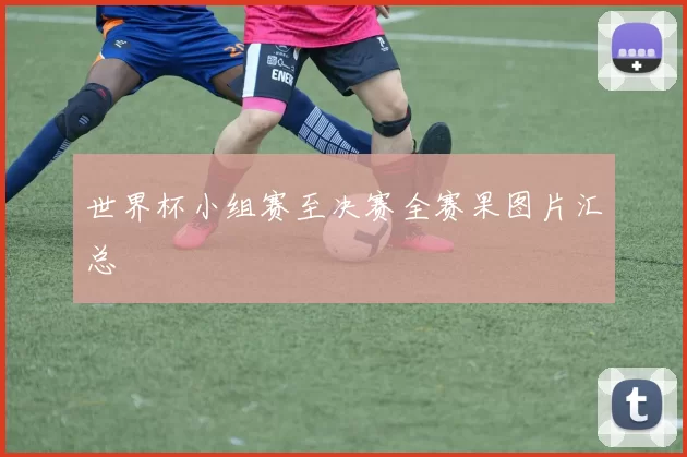 世界杯小组赛至决赛全赛果图片汇总