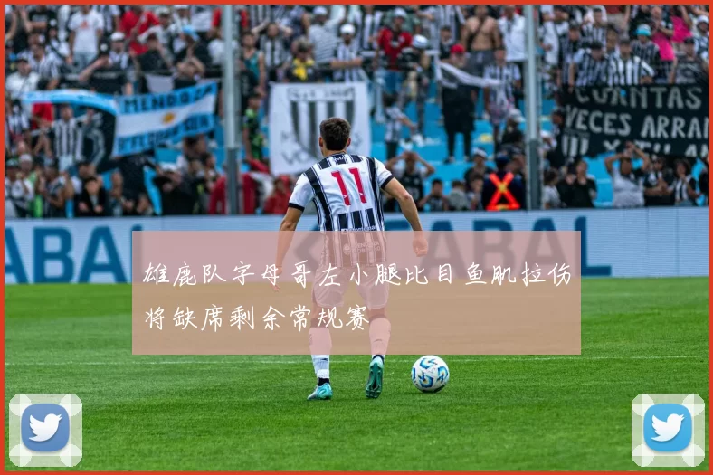 雄鹿队字母哥左小腿比目鱼肌拉伤将缺席剩余常规赛