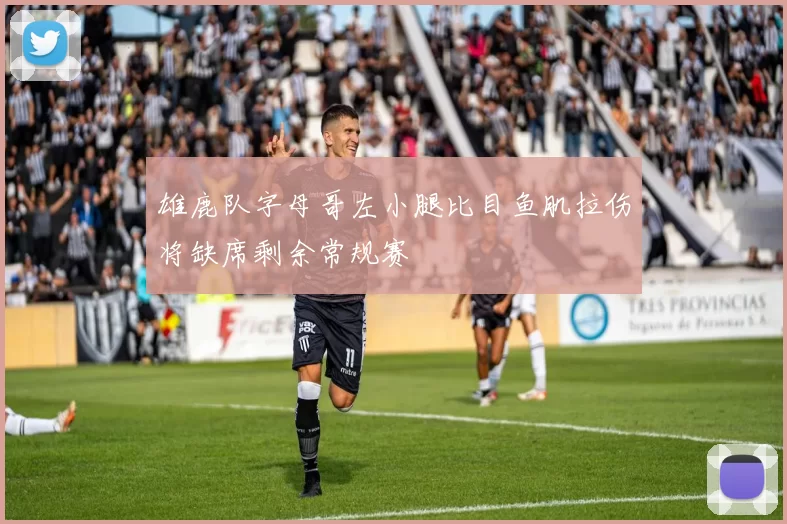 雄鹿队字母哥左小腿比目鱼肌拉伤将缺席剩余常规赛