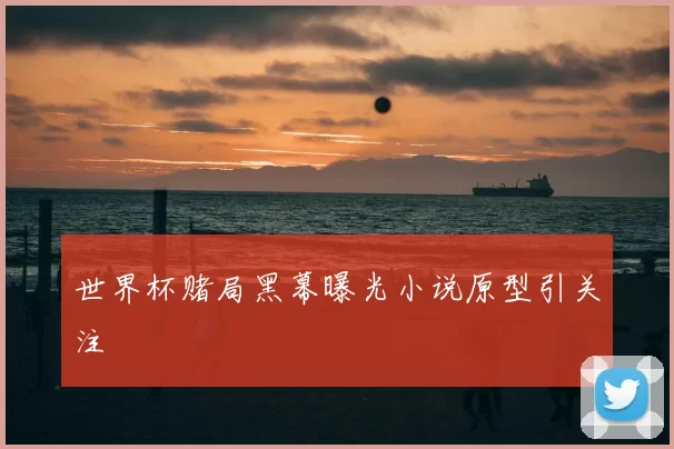 世界杯赌局黑幕曝光小说原型引关注